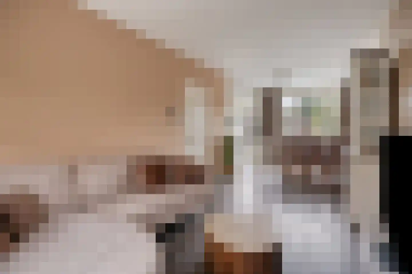 Bergen op Zoomstraat 127 Eindhoven thumbnail 9