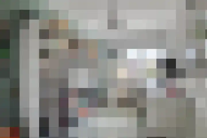 Bergen op Zoomstraat 133 Eindhoven thumbnail 20