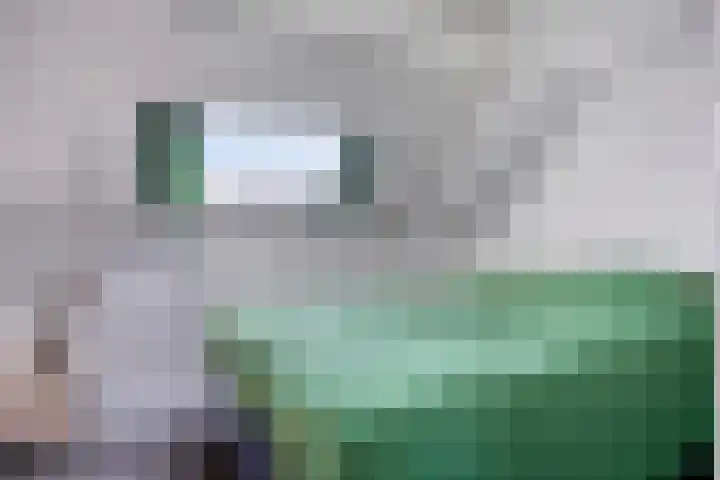 Bergen op Zoomstraat 133 Eindhoven thumbnail 26