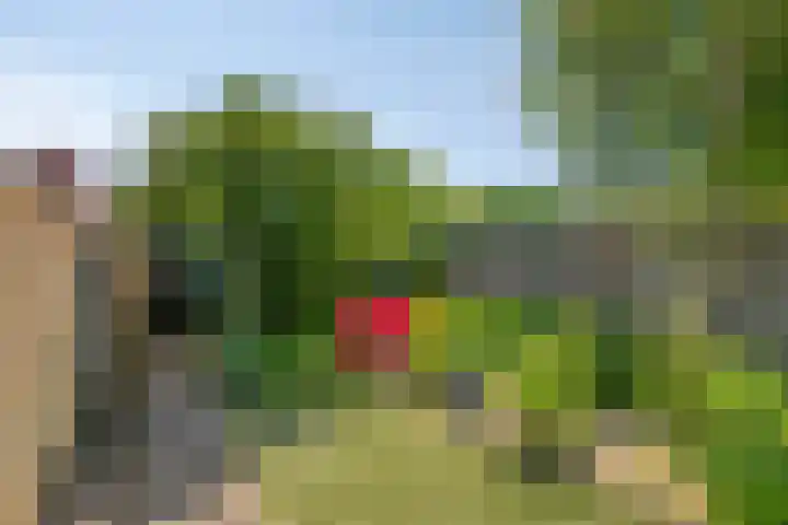 Bergen op Zoomstraat 133 Eindhoven thumbnail 28