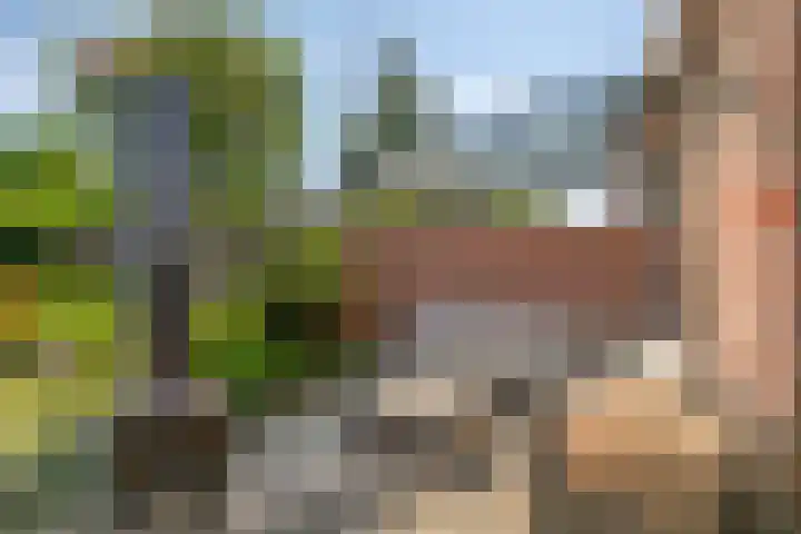 Bergen op Zoomstraat 133 Eindhoven thumbnail 30