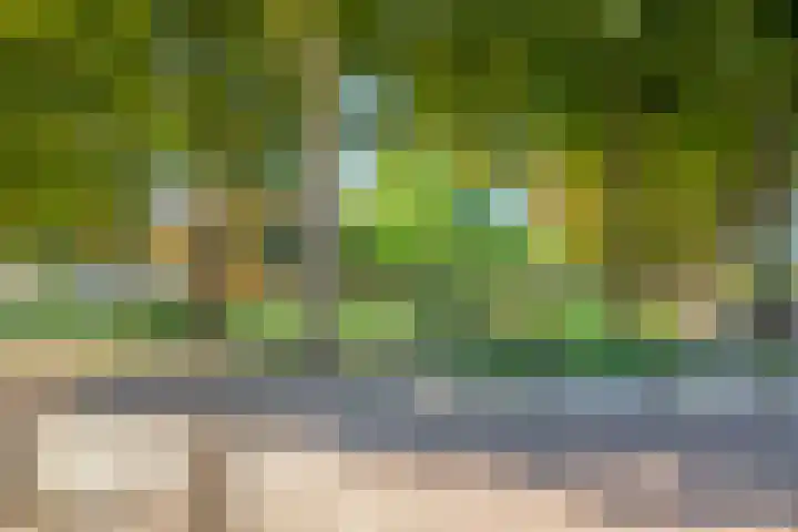 Bergen op Zoomstraat 133 Eindhoven thumbnail 32