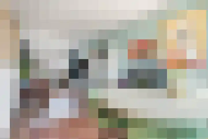 Bergen op Zoomstraat 133 Eindhoven thumbnail 8