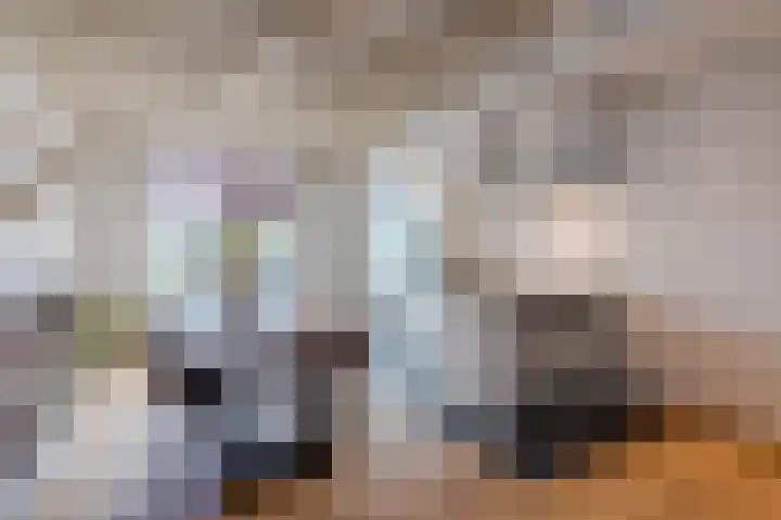 Bergen op Zoomstraat 141 Eindhoven thumbnail 12