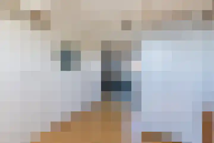 Bergen op Zoomstraat 141 Eindhoven thumbnail 32