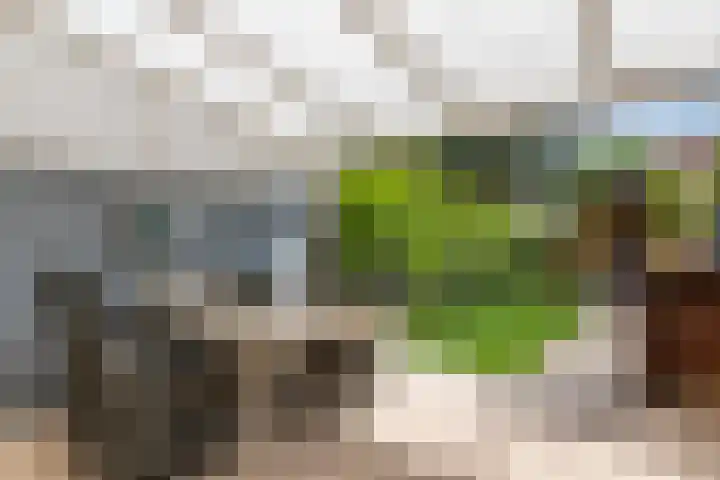 Bergen op Zoomstraat 141 Eindhoven thumbnail 33