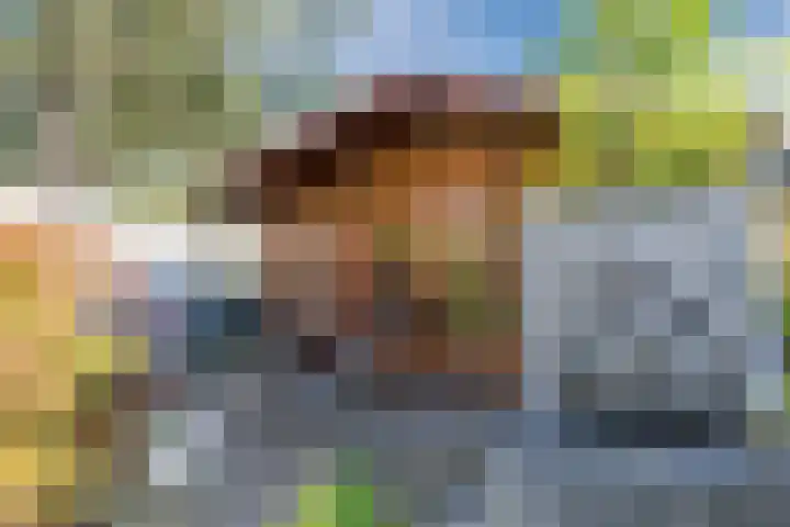Bergen op Zoomstraat 141 Eindhoven thumbnail 36