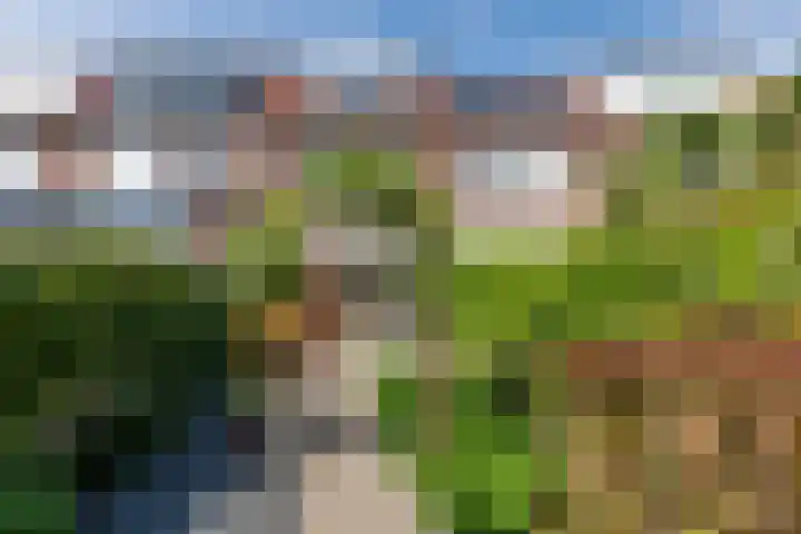 Bergen op Zoomstraat 141 Eindhoven thumbnail 38