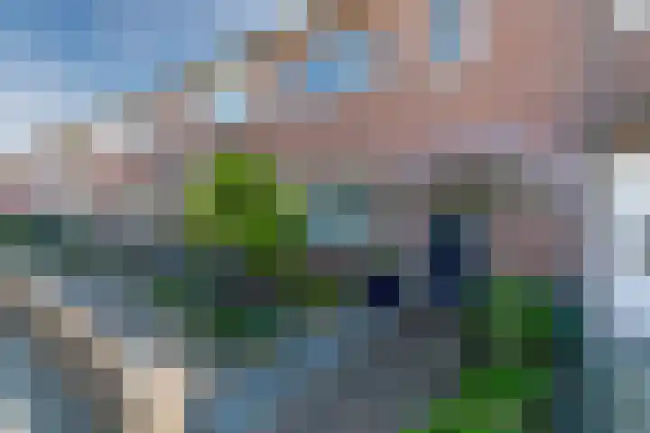 Bergen op Zoomstraat 141 Eindhoven thumbnail 6