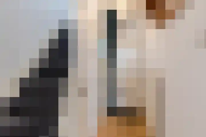 Bergen op Zoomstraat 141 Eindhoven thumbnail 8