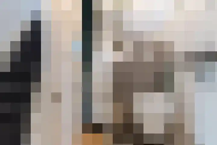 Bergen op Zoomstraat 141 Eindhoven thumbnail 9