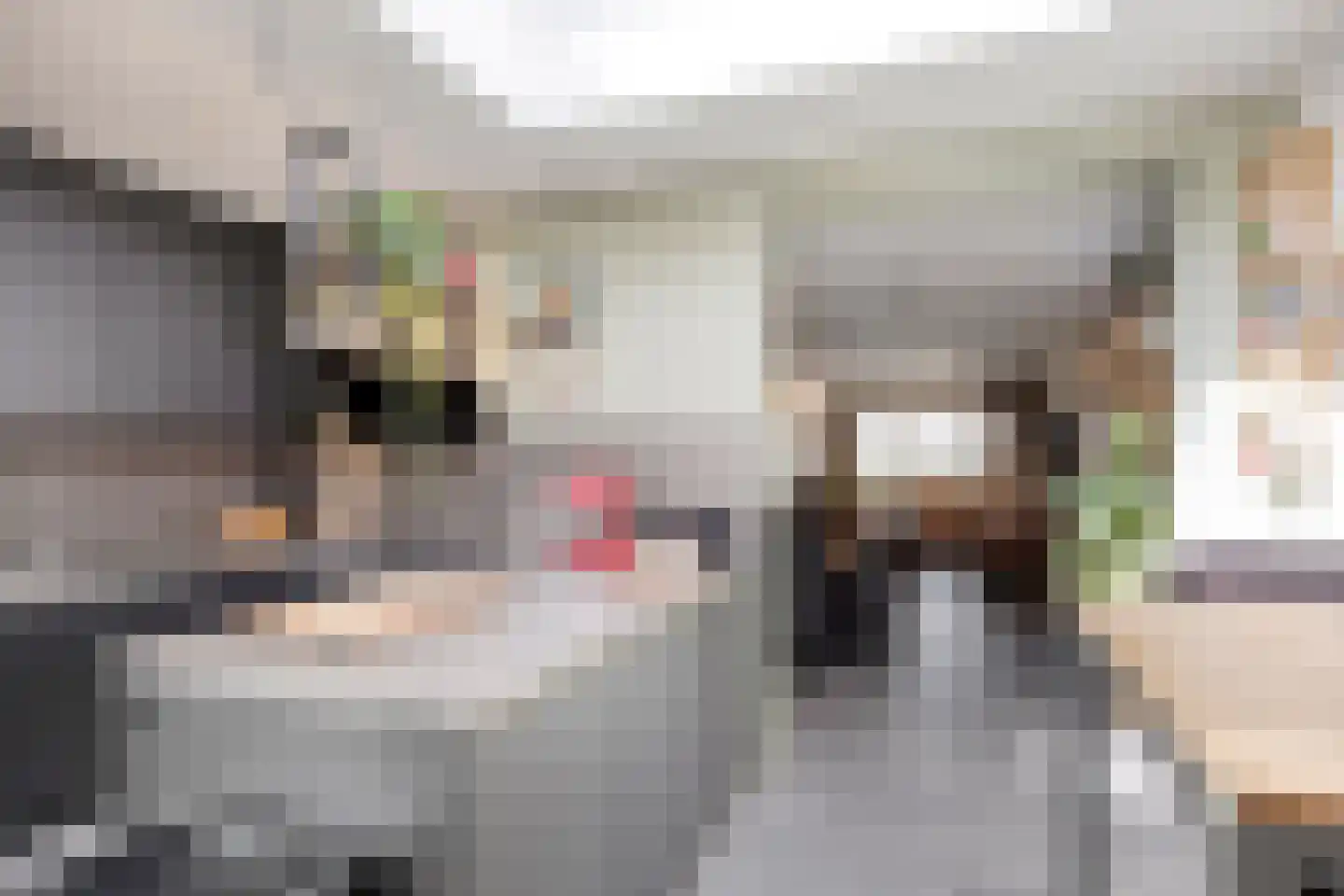 Bergen op Zoomstraat 153 Eindhoven thumbnail 11