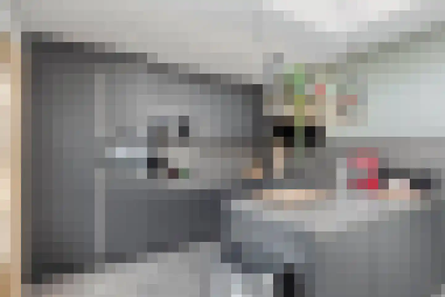 Bergen op Zoomstraat 153 Eindhoven thumbnail 12