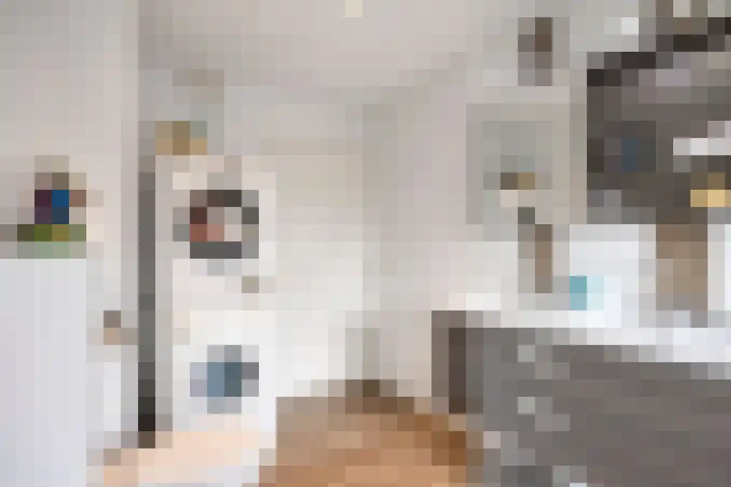 Bergen op Zoomstraat 153 Eindhoven thumbnail 18