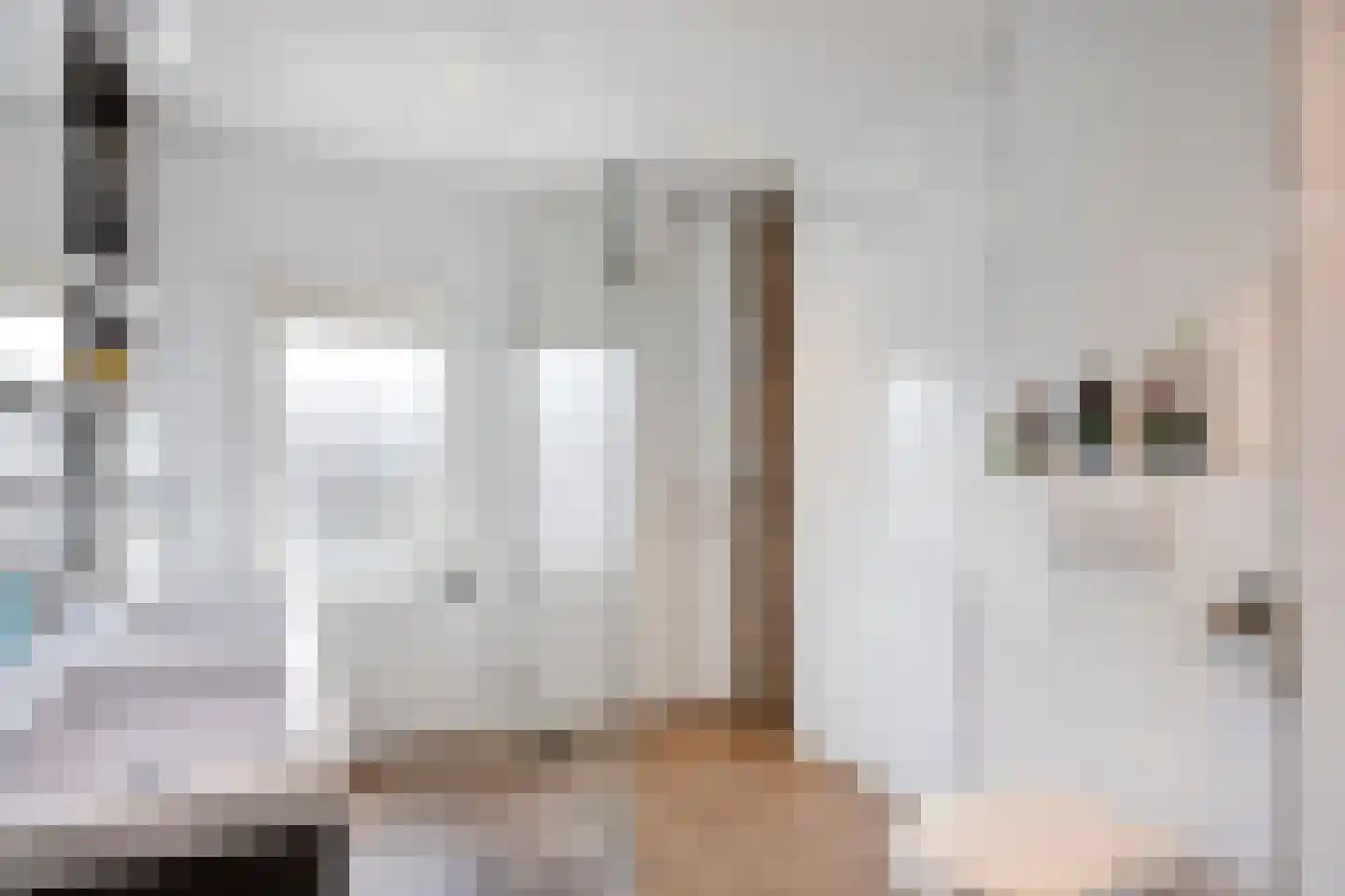 Bergen op Zoomstraat 153 Eindhoven thumbnail 4