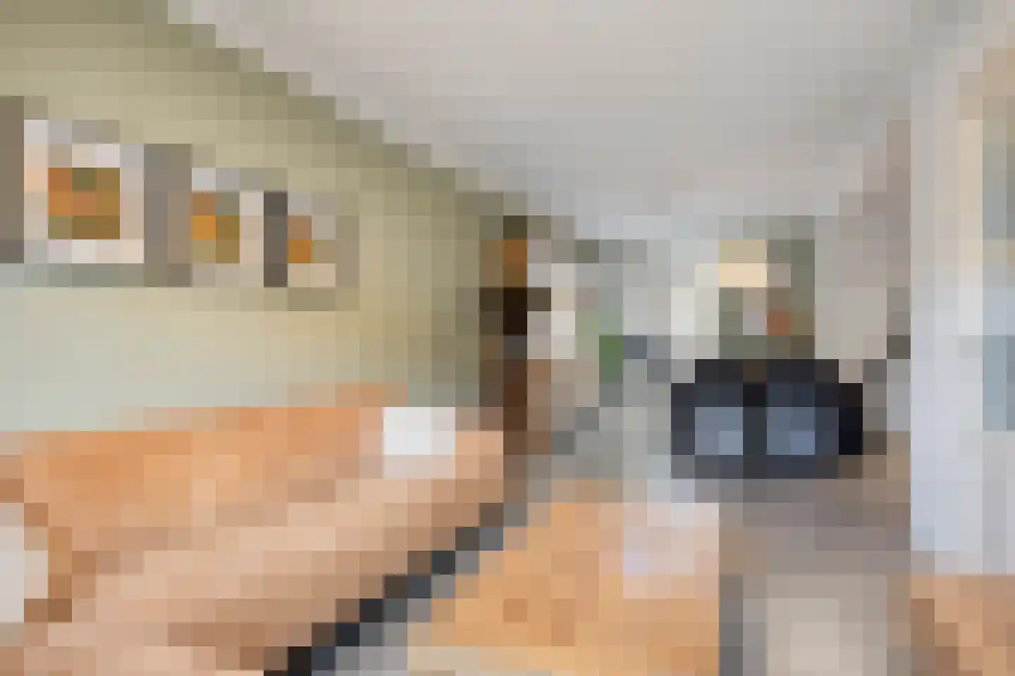 Bergen op Zoomstraat 153 Eindhoven thumbnail 7