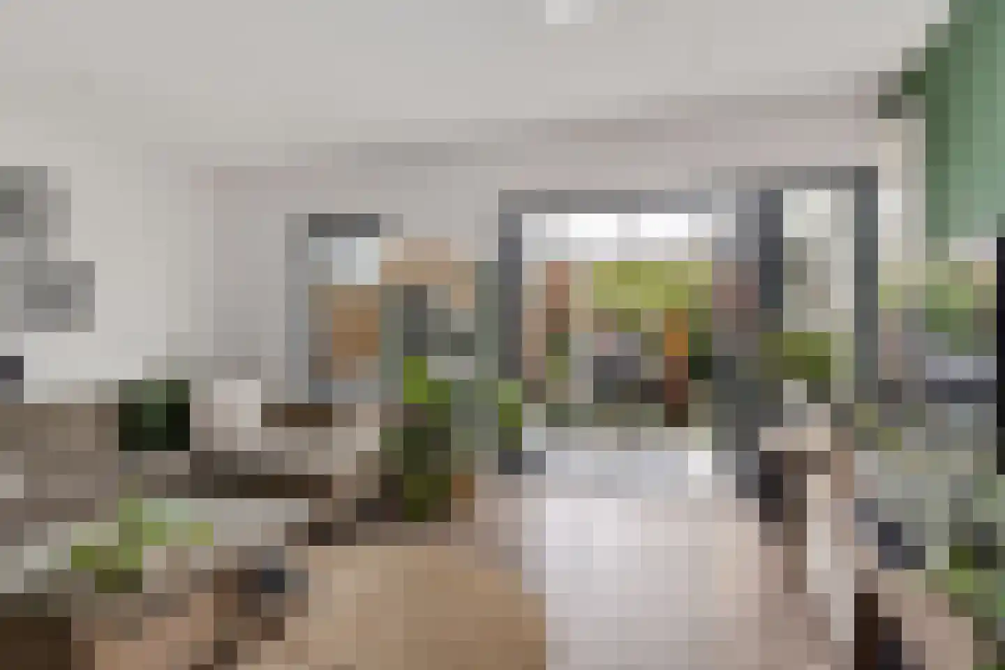 Bergen op Zoomstraat 155 Eindhoven thumbnail 12