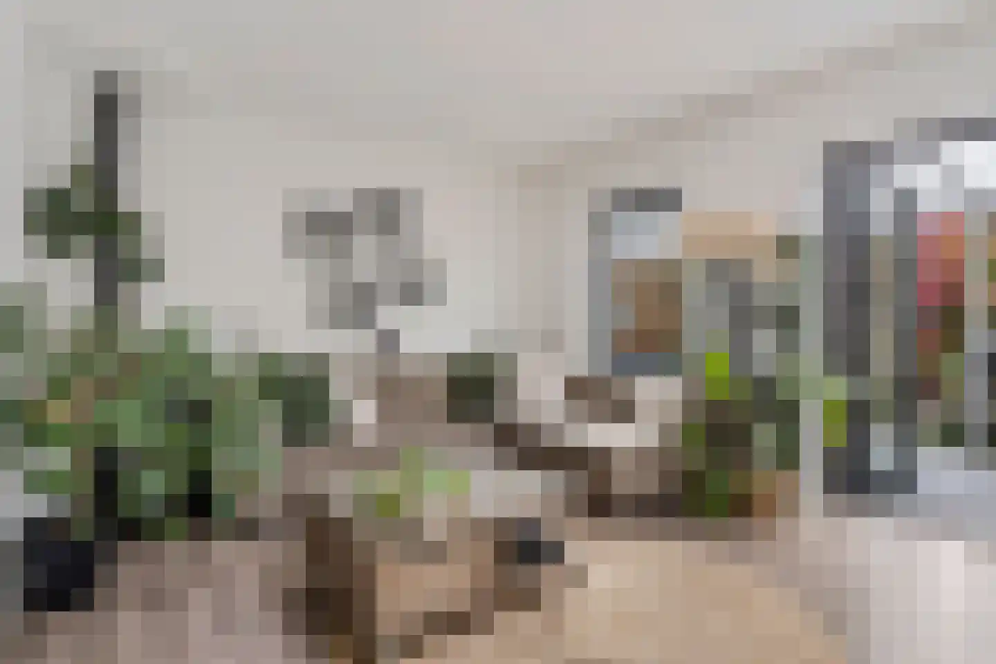 Bergen op Zoomstraat 155 Eindhoven thumbnail 13