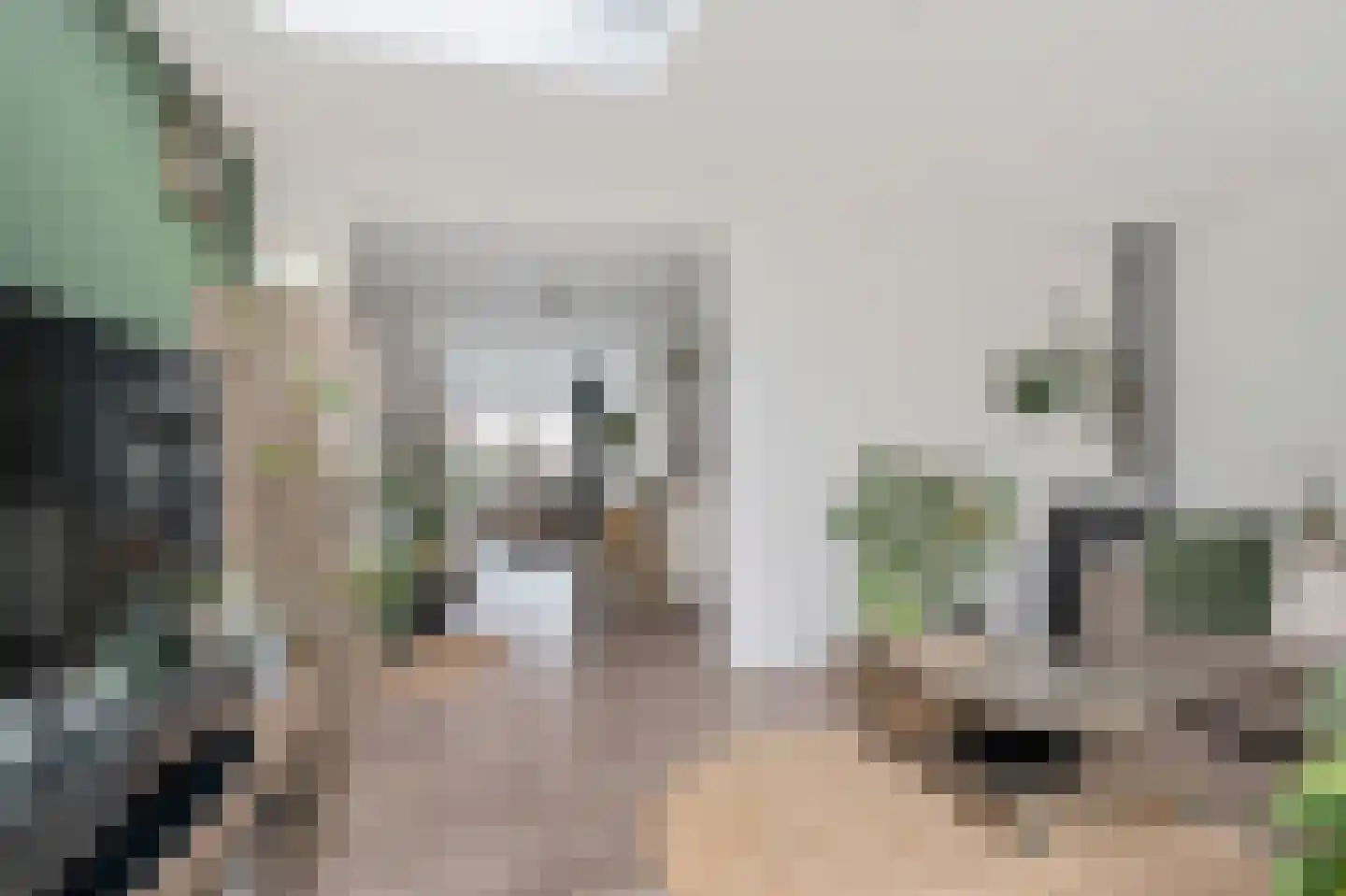 Bergen op Zoomstraat 155 Eindhoven thumbnail 15