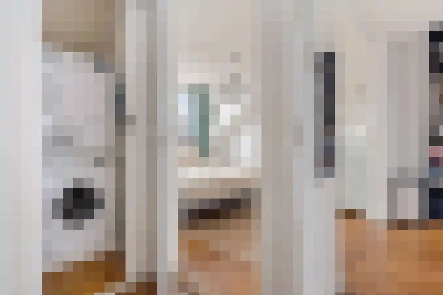 Bergen op Zoomstraat 155 Eindhoven thumbnail 30