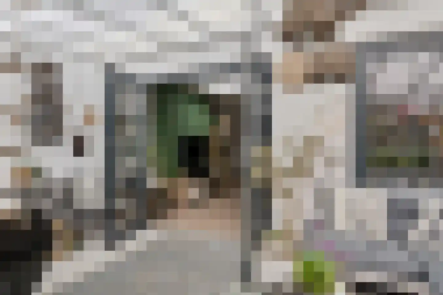 Bergen op Zoomstraat 155 Eindhoven thumbnail 31