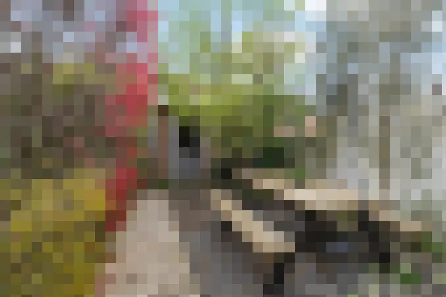Bergen op Zoomstraat 155 Eindhoven thumbnail 32