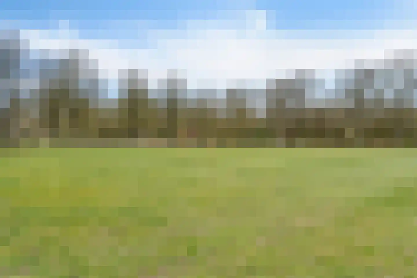 Bergen op Zoomstraat 155 Eindhoven thumbnail 39