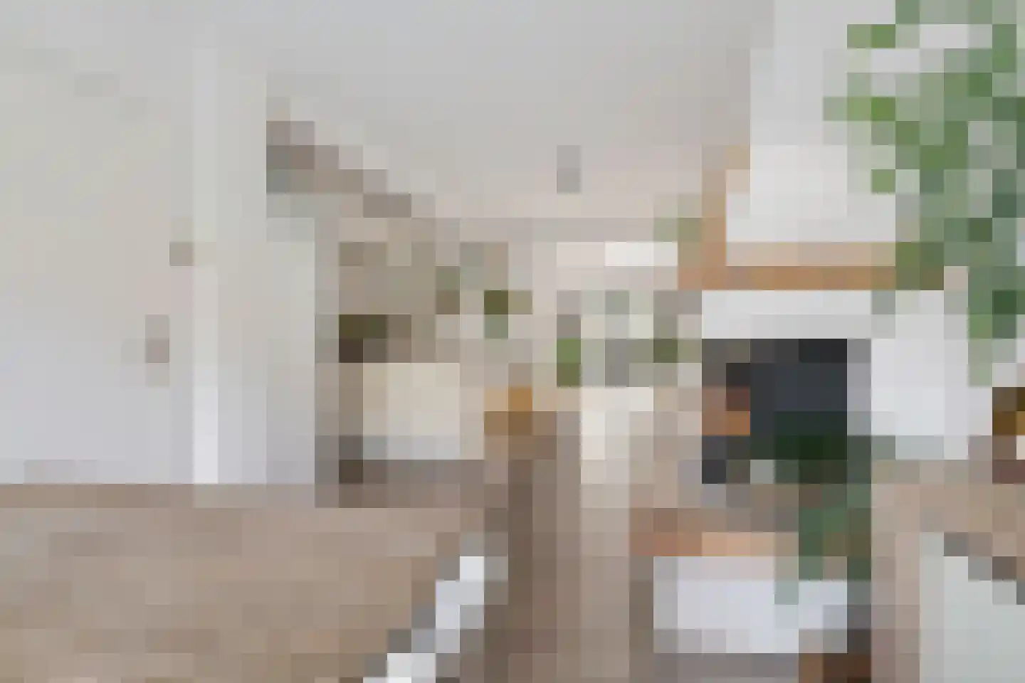 Bergen op Zoomstraat 155 Eindhoven thumbnail 4