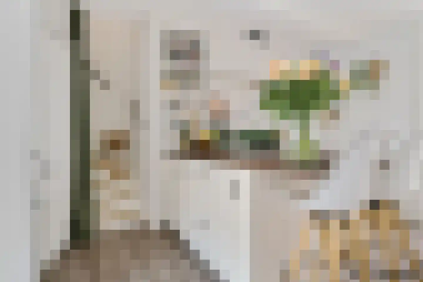 Bergen op Zoomstraat 155 Eindhoven thumbnail 6