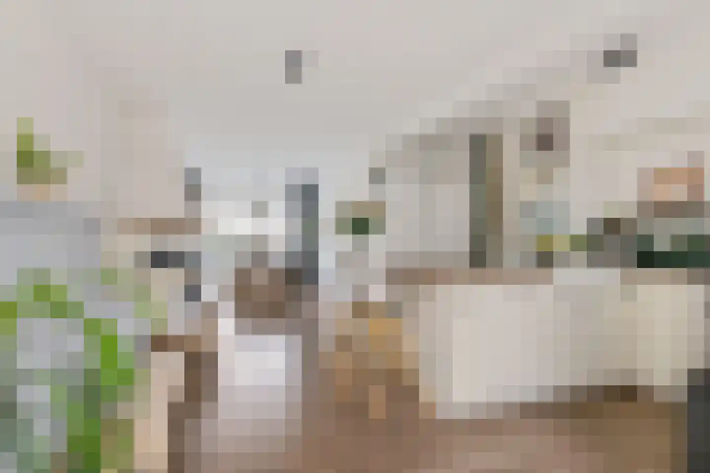 Bergen op Zoomstraat 155 Eindhoven thumbnail 7