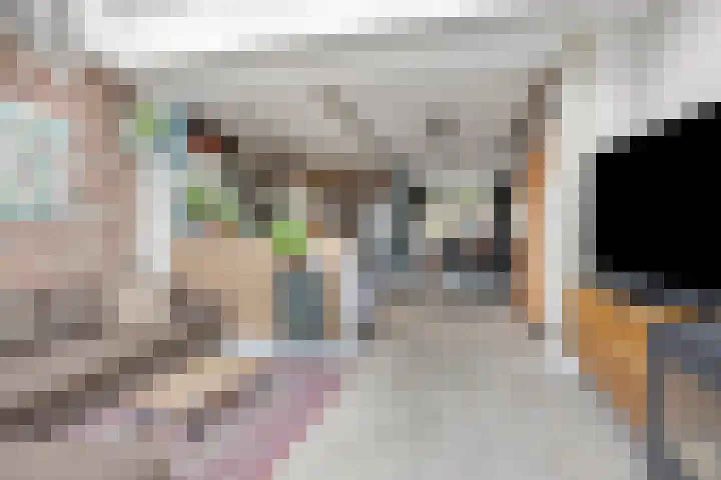 Bergen op Zoomstraat 27 Eindhoven thumbnail 9