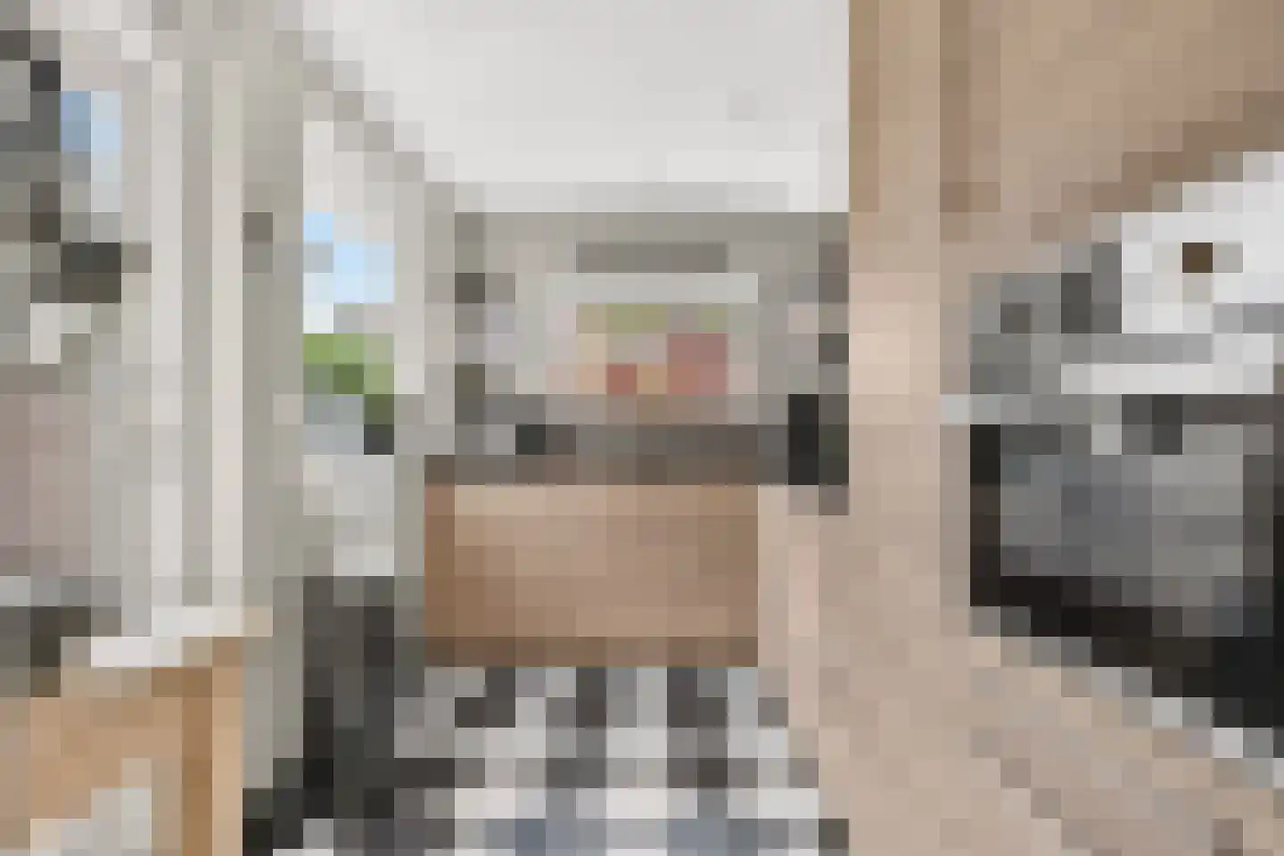 Bergen op Zoomstraat 31 Eindhoven thumbnail 11