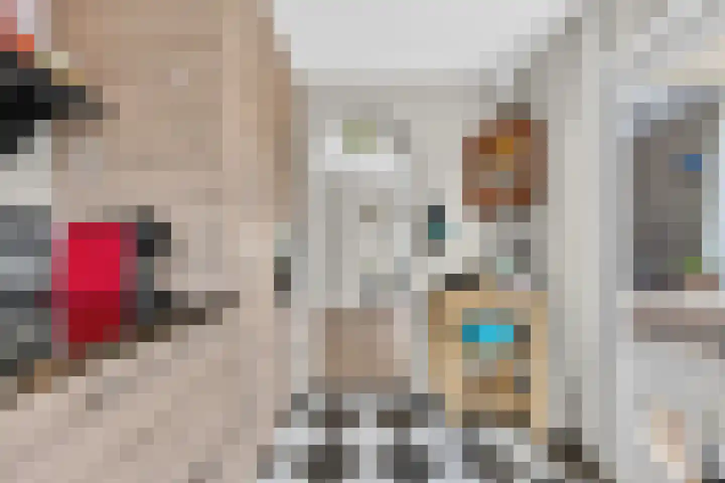 Bergen op Zoomstraat 31 Eindhoven thumbnail 13
