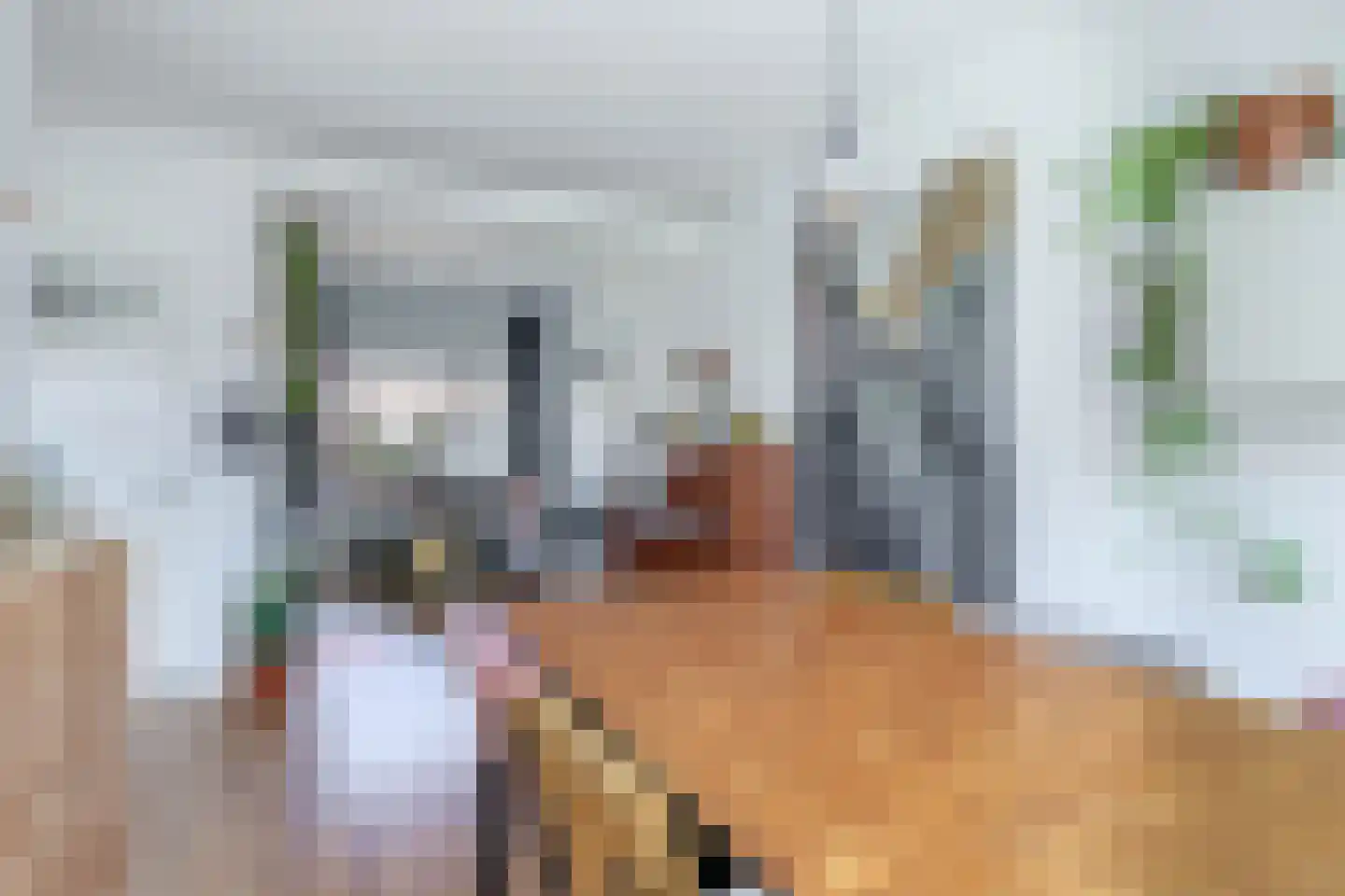 Bergen op Zoomstraat 43 Eindhoven thumbnail 16