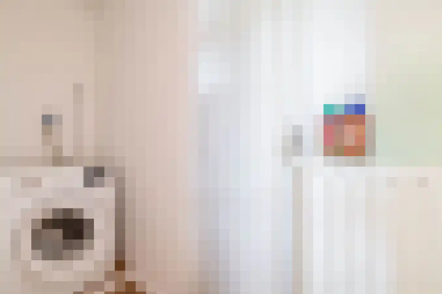 Bergen op Zoomstraat 43 Eindhoven thumbnail 30