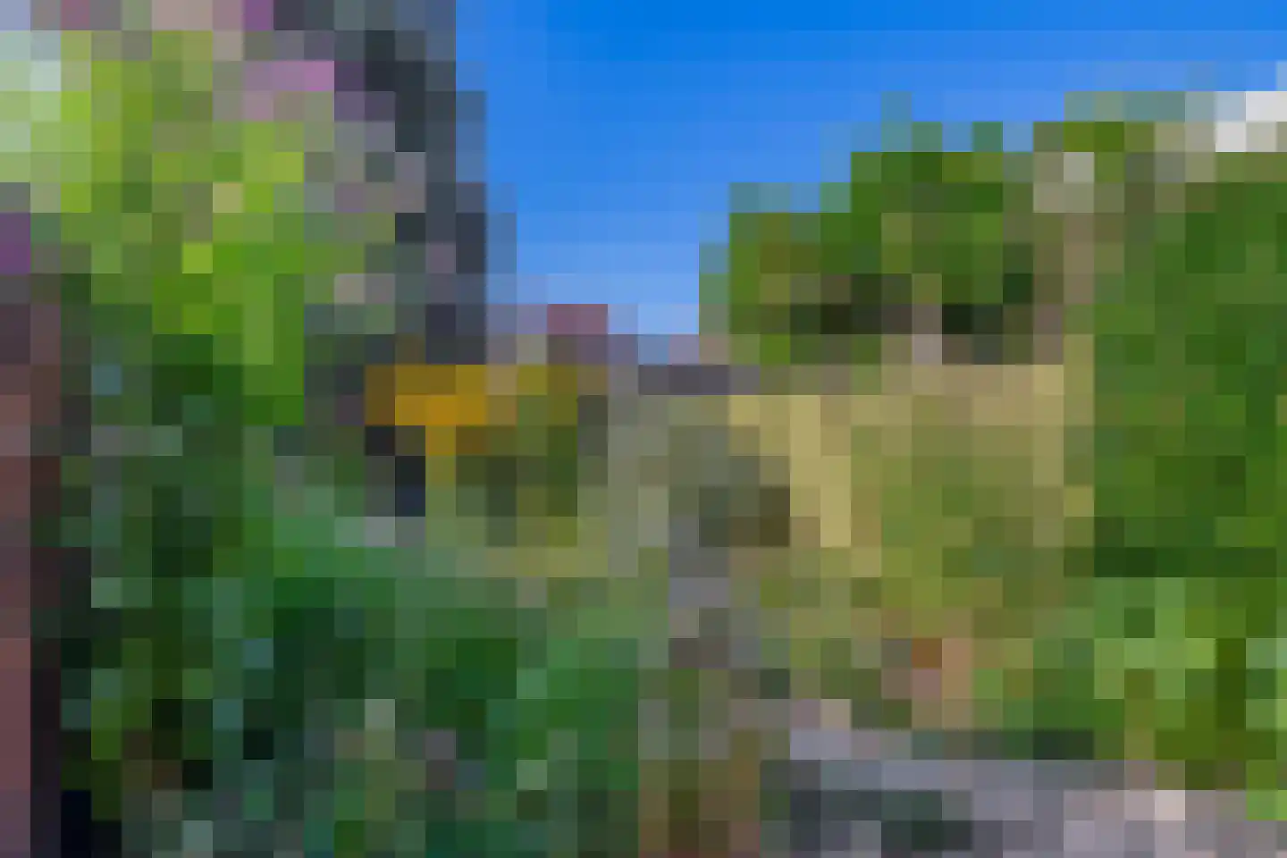 Bergen op Zoomstraat 43 Eindhoven thumbnail 4