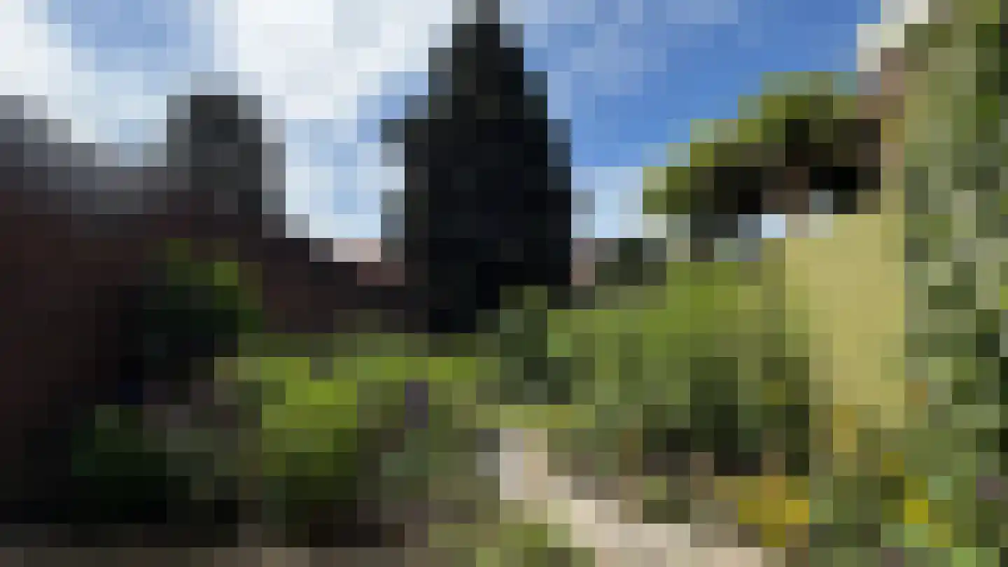 Bergen op Zoomstraat 43 Eindhoven thumbnail 42