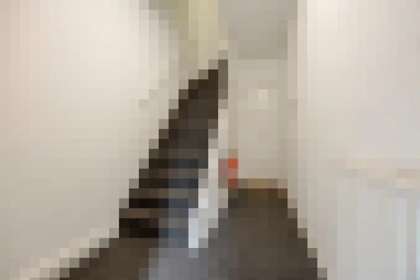 Bergen op Zoomstraat 44 B Eindhoven thumbnail 6