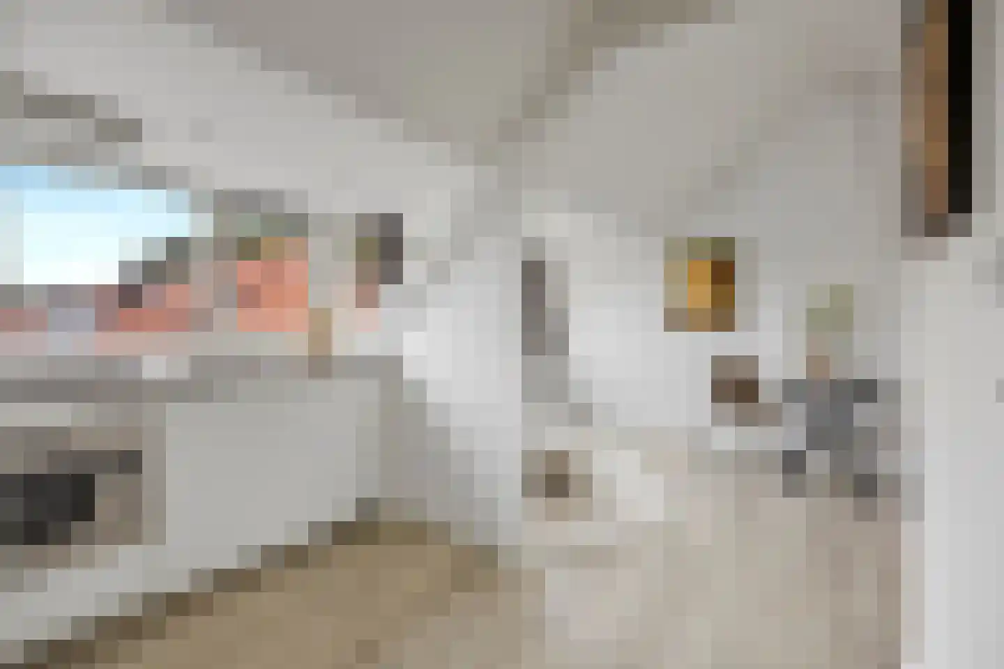 Bergen op Zoomstraat 44 B Eindhoven thumbnail 8