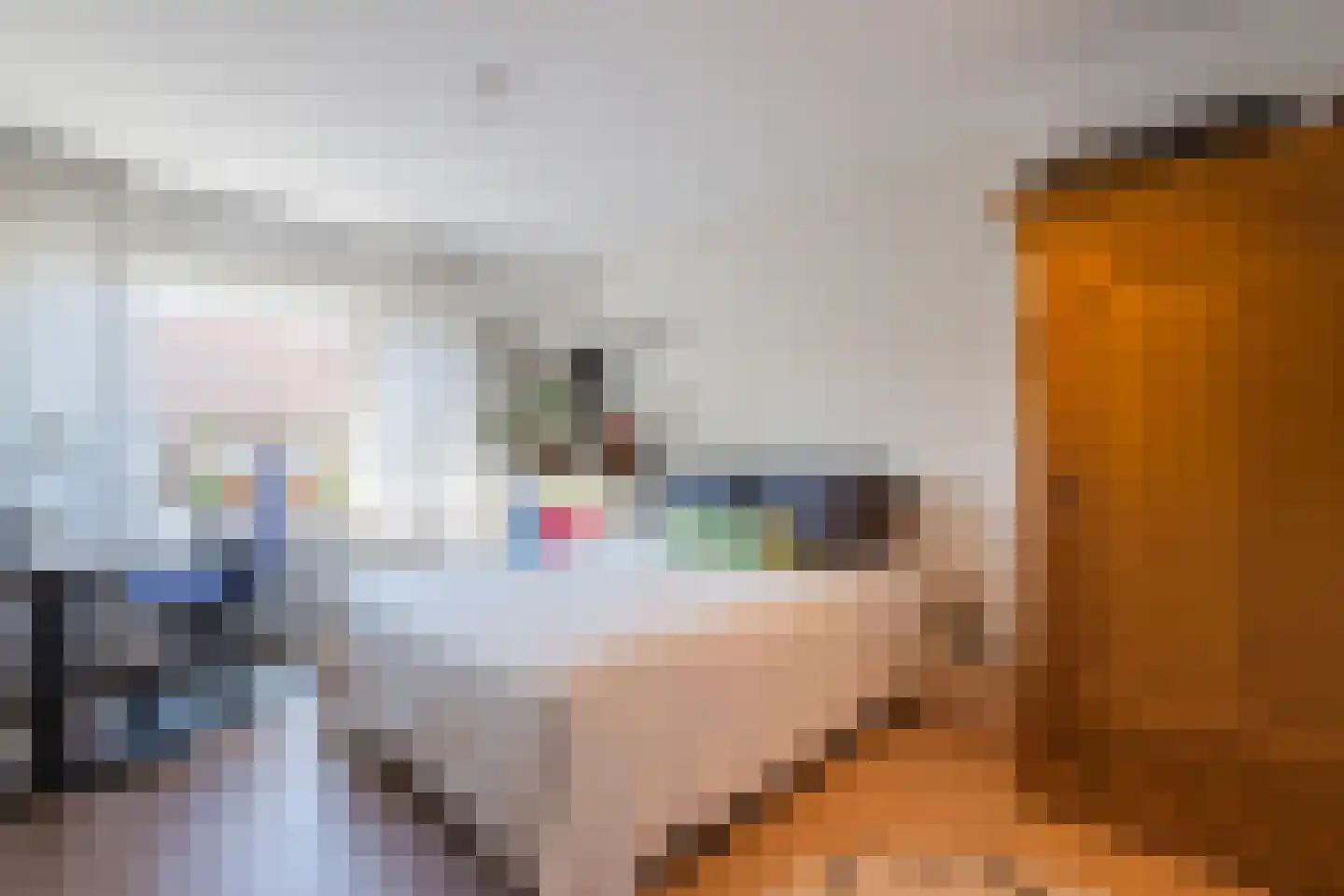 Bergen op Zoomstraat 6 Eindhoven thumbnail 15
