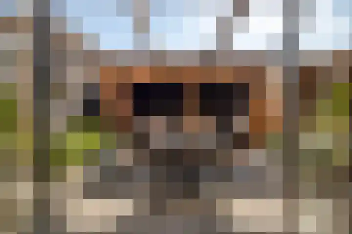 Bergen op Zoomstraat 6 's-Hertogenbosch thumbnail 27