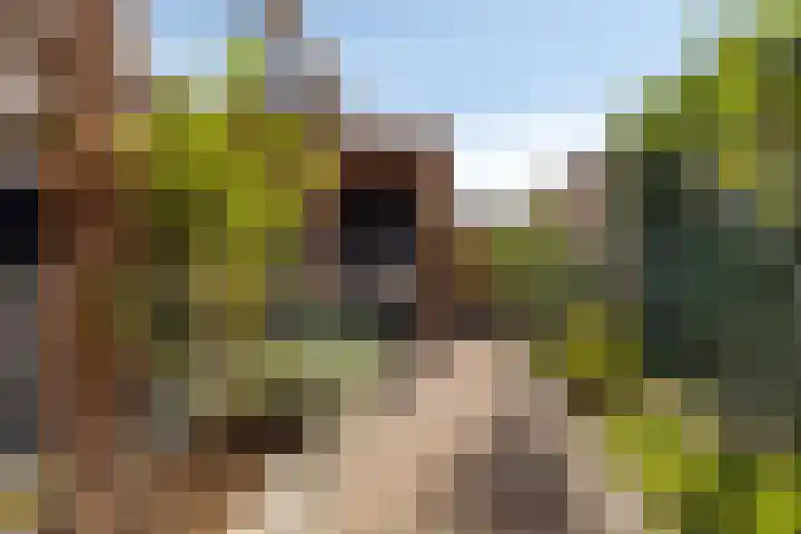 Bergen op Zoomstraat 6 's-Hertogenbosch thumbnail 29