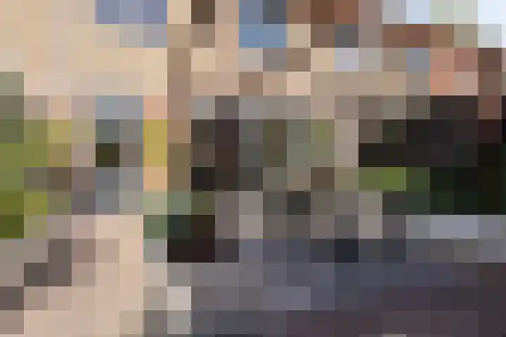 Bergen op Zoomstraat 6 's-Hertogenbosch thumbnail 31