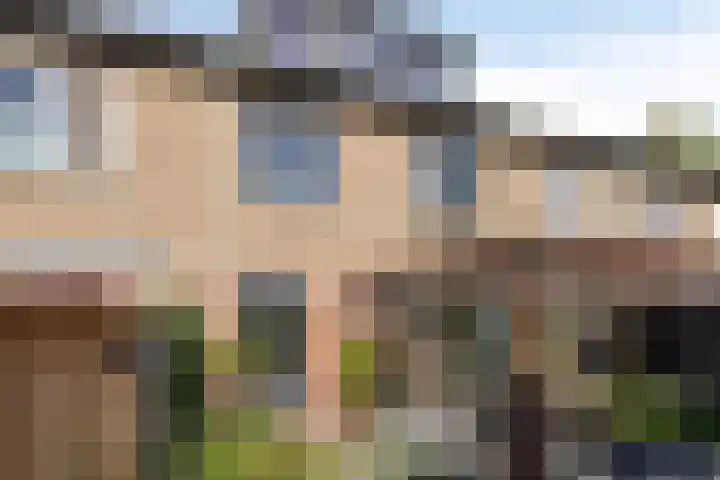 Bergen op Zoomstraat 6 's-Hertogenbosch thumbnail 32
