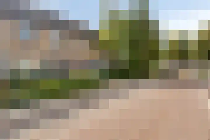 Bergen op Zoomstraat 6 's-Hertogenbosch thumbnail 37