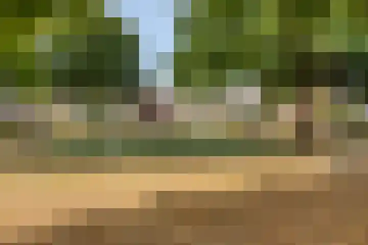 Bergen op Zoomstraat 6 's-Hertogenbosch thumbnail 38
