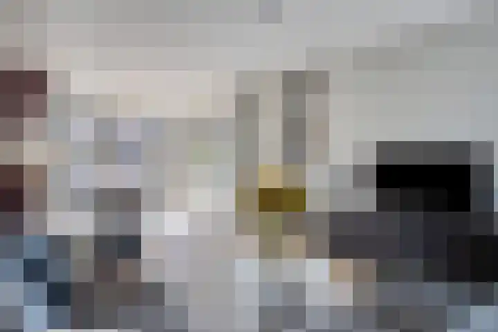 Bergen op Zoomstraat 6 's-Hertogenbosch thumbnail 4