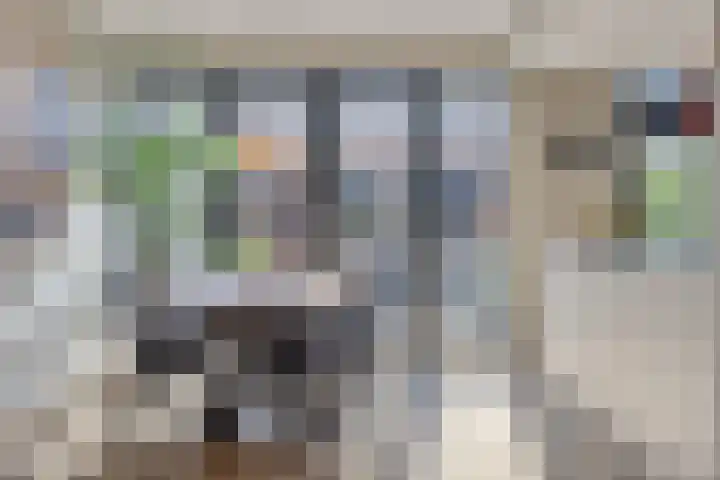 Bergen op Zoomstraat 6 's-Hertogenbosch thumbnail 5