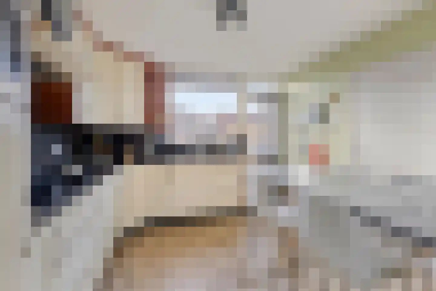 Bergen op Zoomstraat 69 Eindhoven thumbnail 15