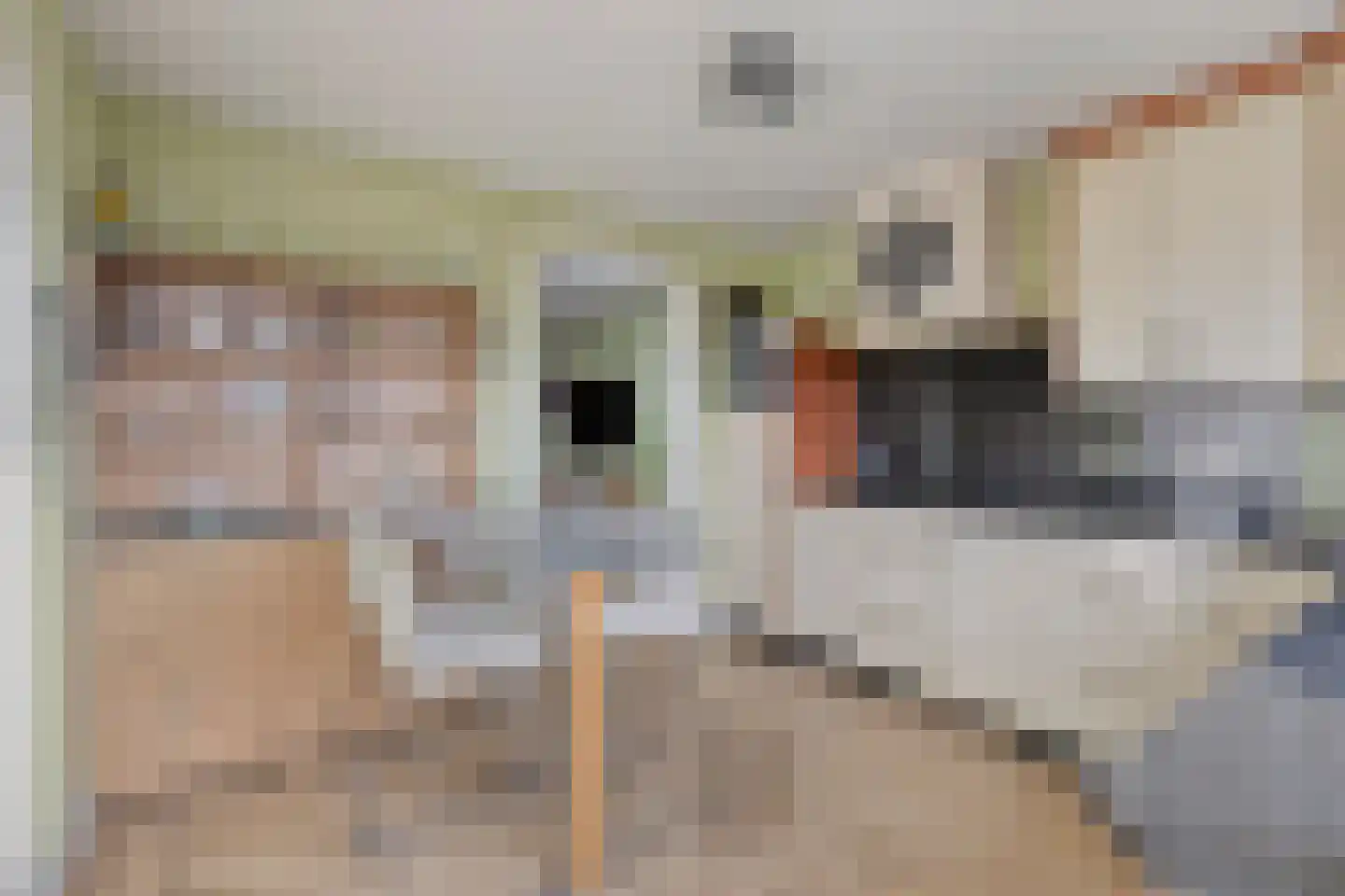 Bergen op Zoomstraat 69 Eindhoven thumbnail 16